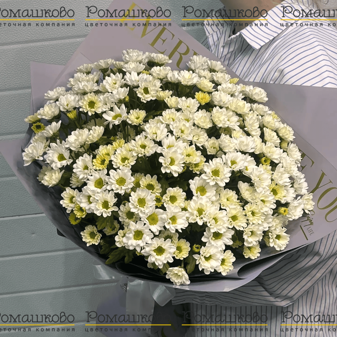 Букет из ромашек «Ромэо»