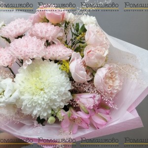 Превью Букет из хризантем «Роскошные объятия»