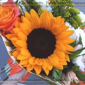 Превью Букет «Сладкое утро»