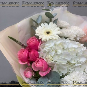 Превью Букет из гортензий «Белые ночи»