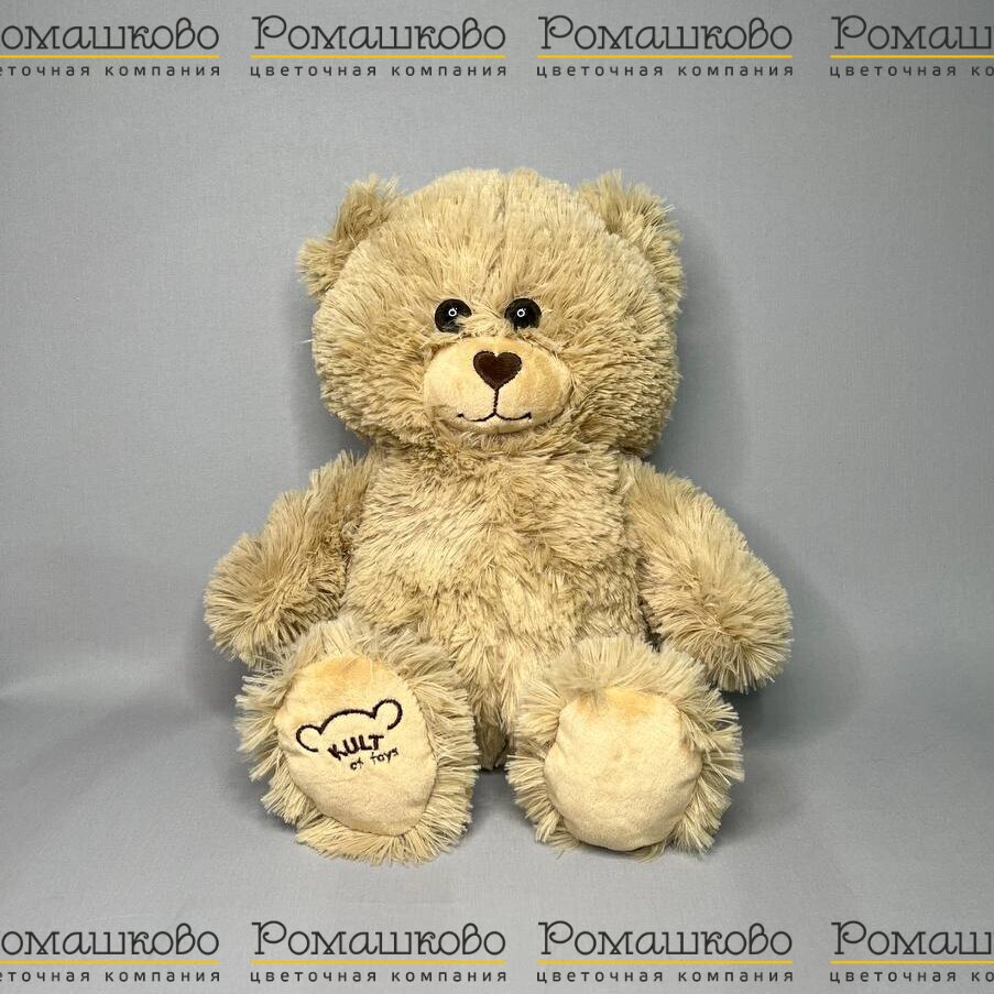 Мишка Тедди