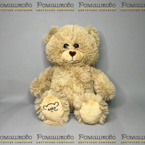 Превью Мишка Тедди