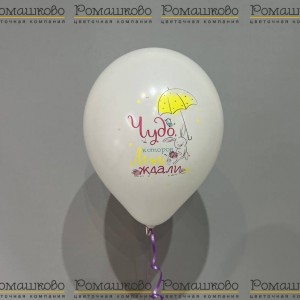 Превью Воздушный шар 