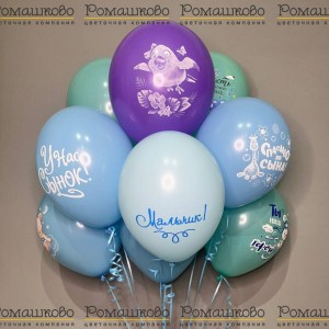 Превью Букет из 9 воздушных шаров с гелием