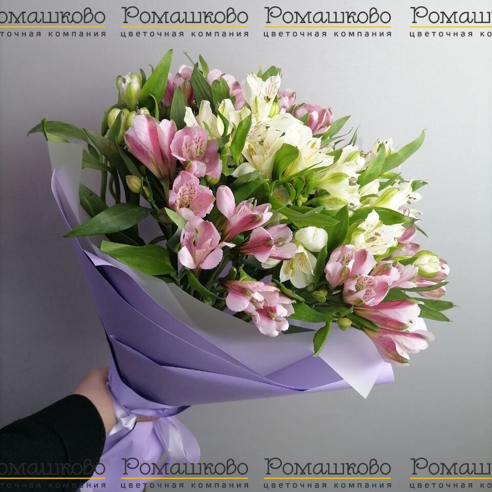 15 Альстромерий Эквадор