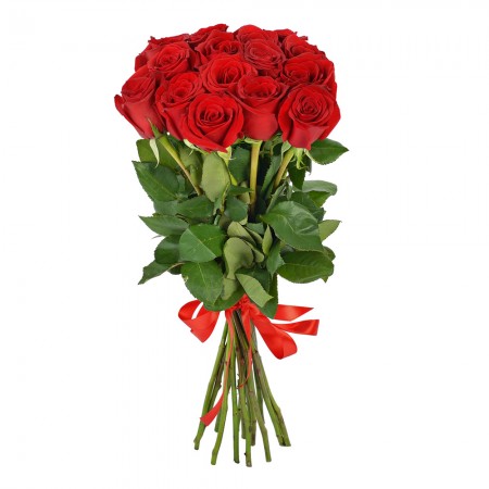 11 роз Эксплорер (70см)