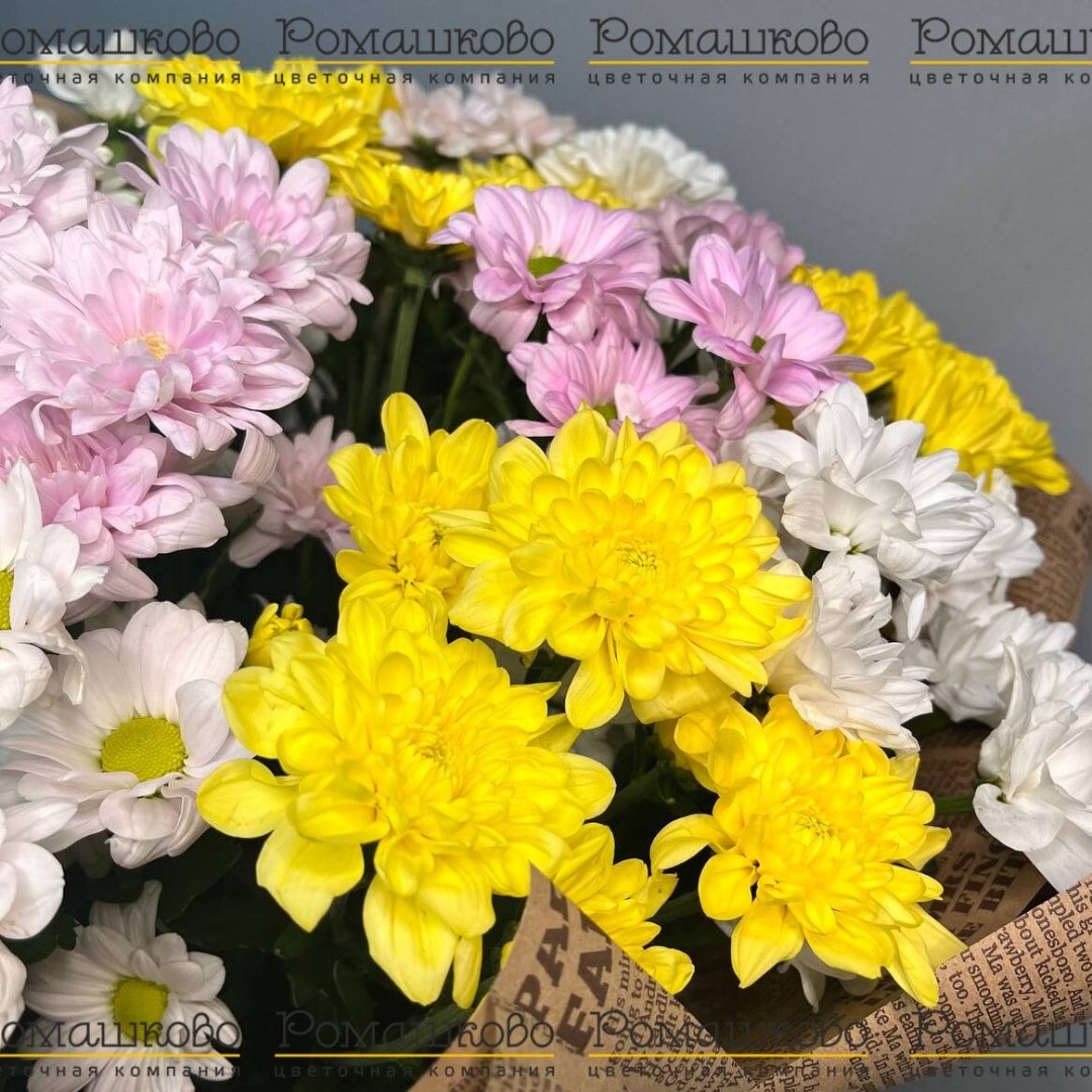 11 кустовых хризантем