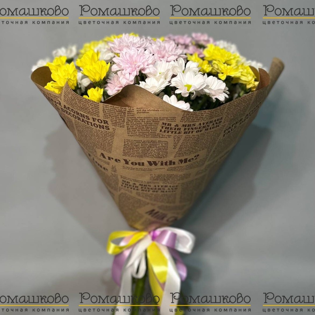 11 кустовых хризантем