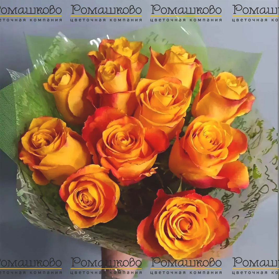 11 роз микс (50см)