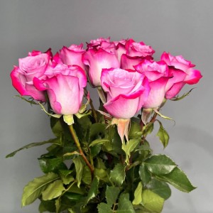 Превью 11 роз микс (60см)