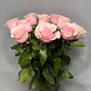 Превью 11 роз микс (60см)