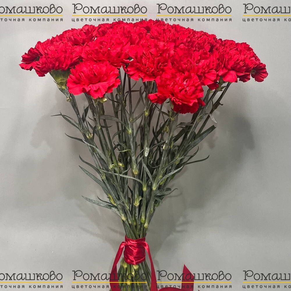 25 Красных гвоздик