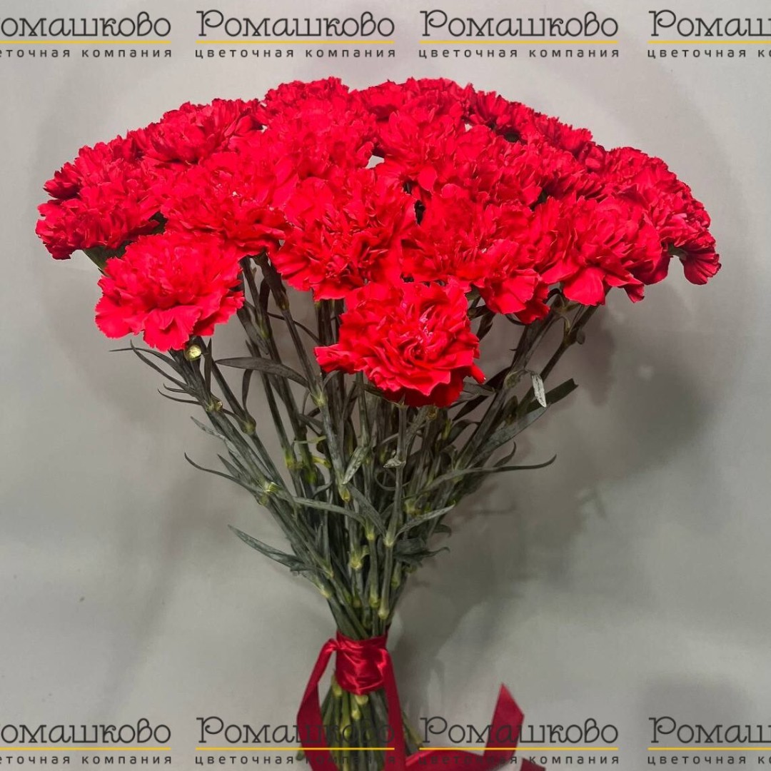 25 Красных гвоздик