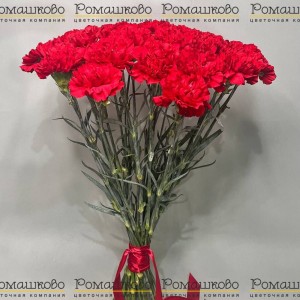 Превью 25 Красных гвоздик