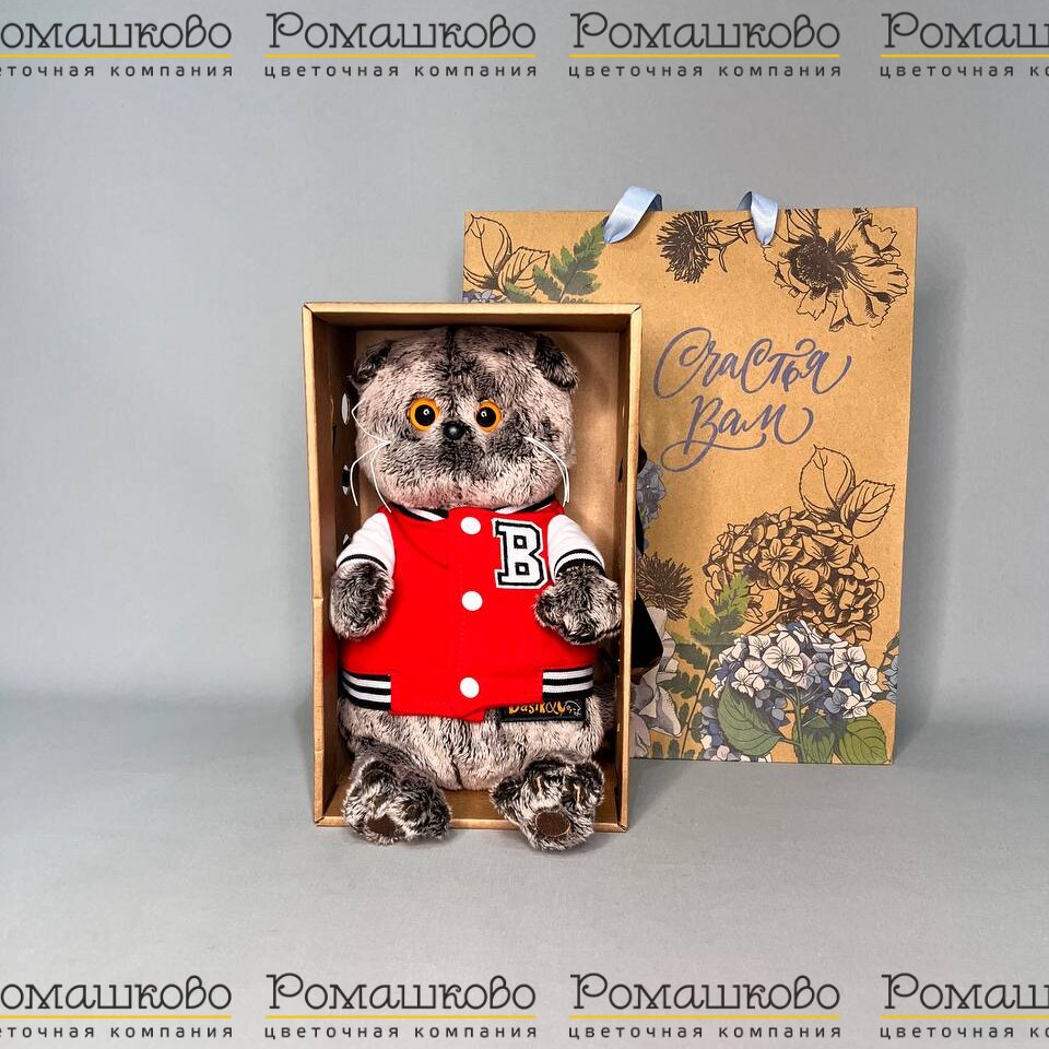 Кот Басик в клубной куртке