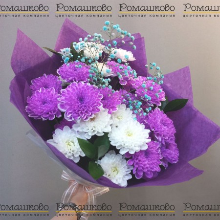 Букет из 5 фиолетовых хризантем за 2 150 - «Ромашково» в Красноярске