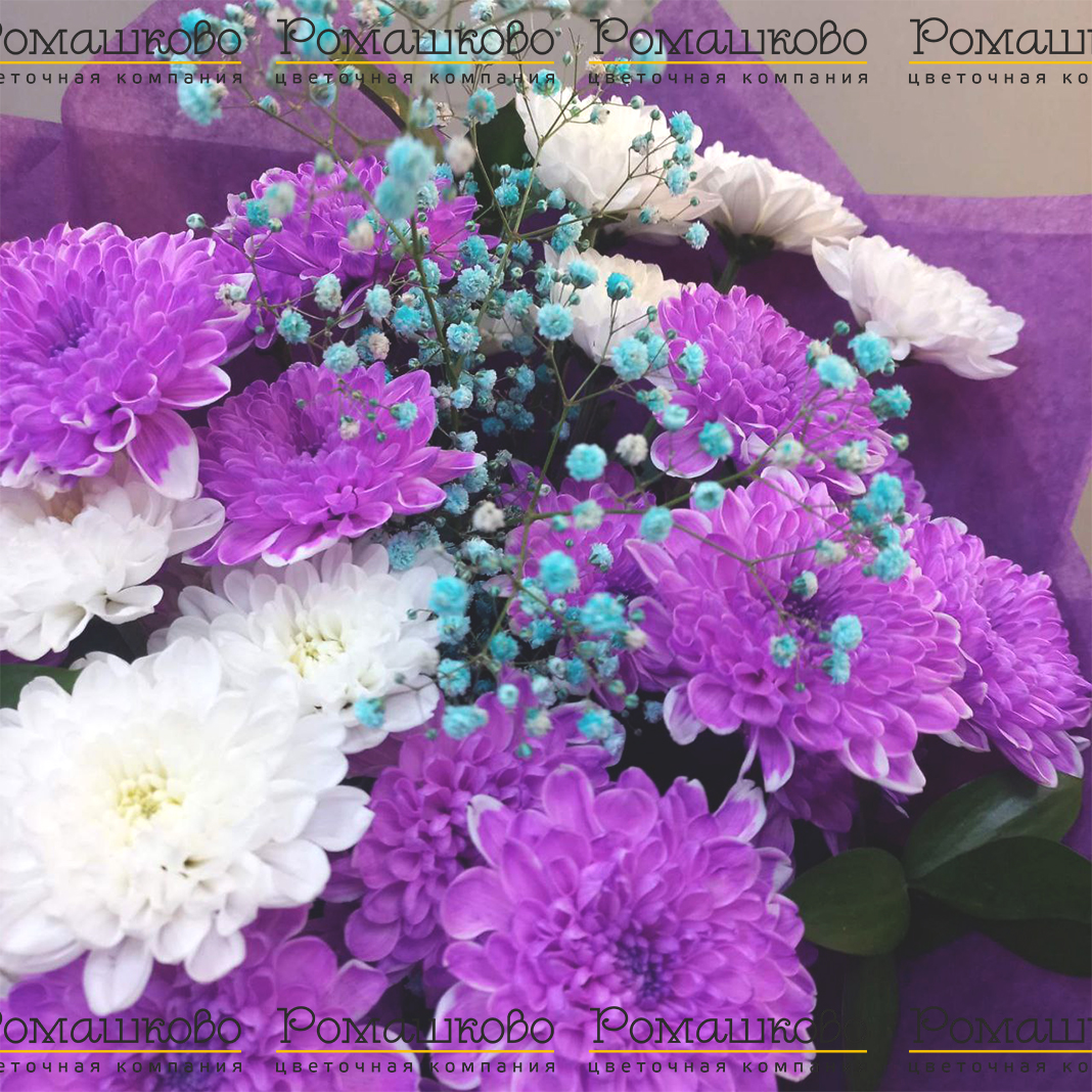 Букет из 5 фиолетовых хризантем