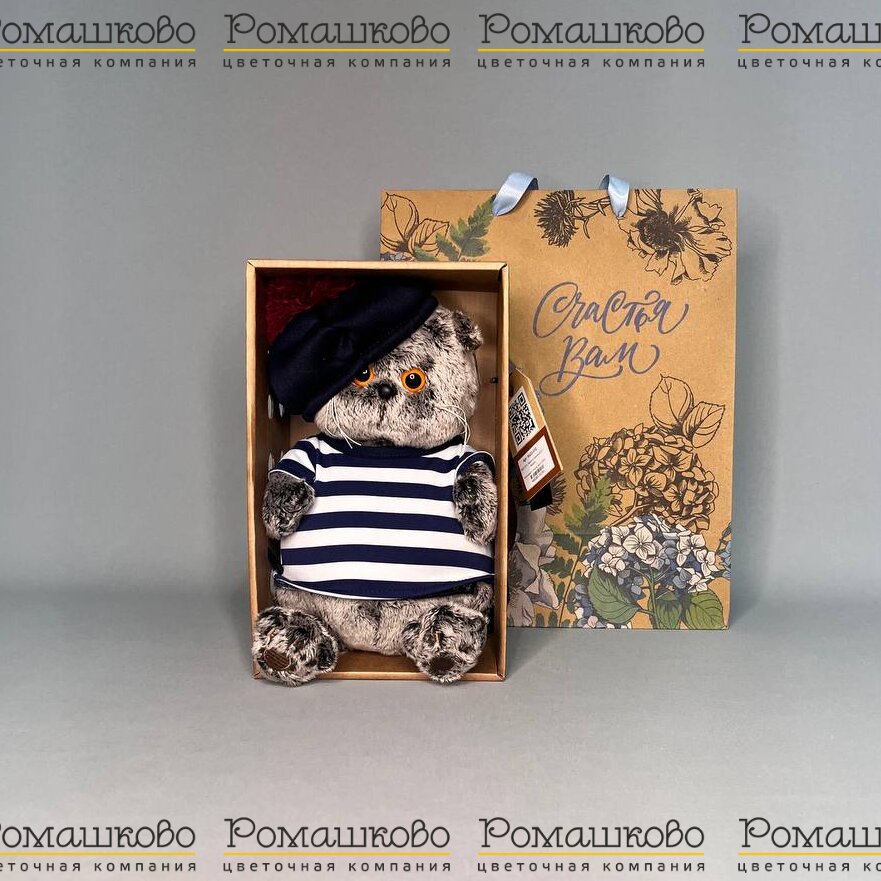 Кот Басик в тельняшке и берете