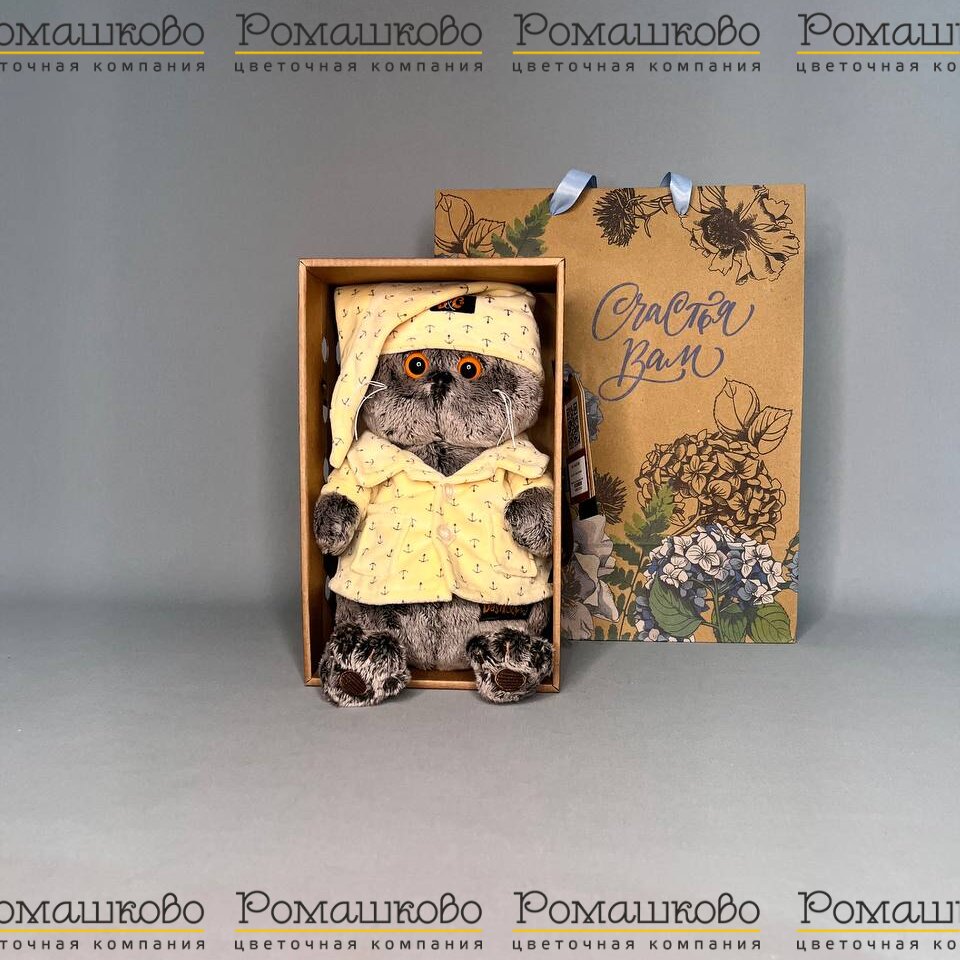 Кот Басик в пижаме