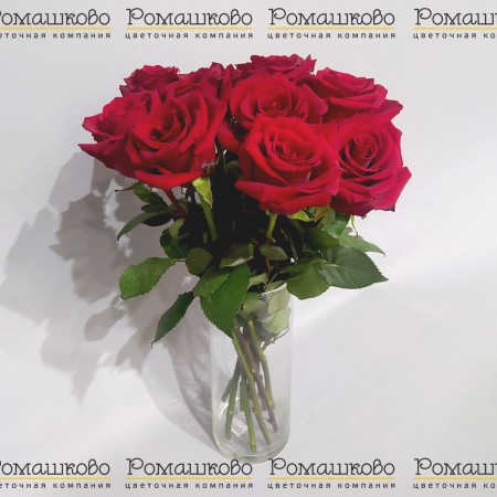 11 роз Эксплорер (50см) за 2 499 - «Ромашково» в Красноярске