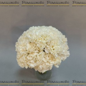 Превью Свадебный букет «Скромная улыбка»