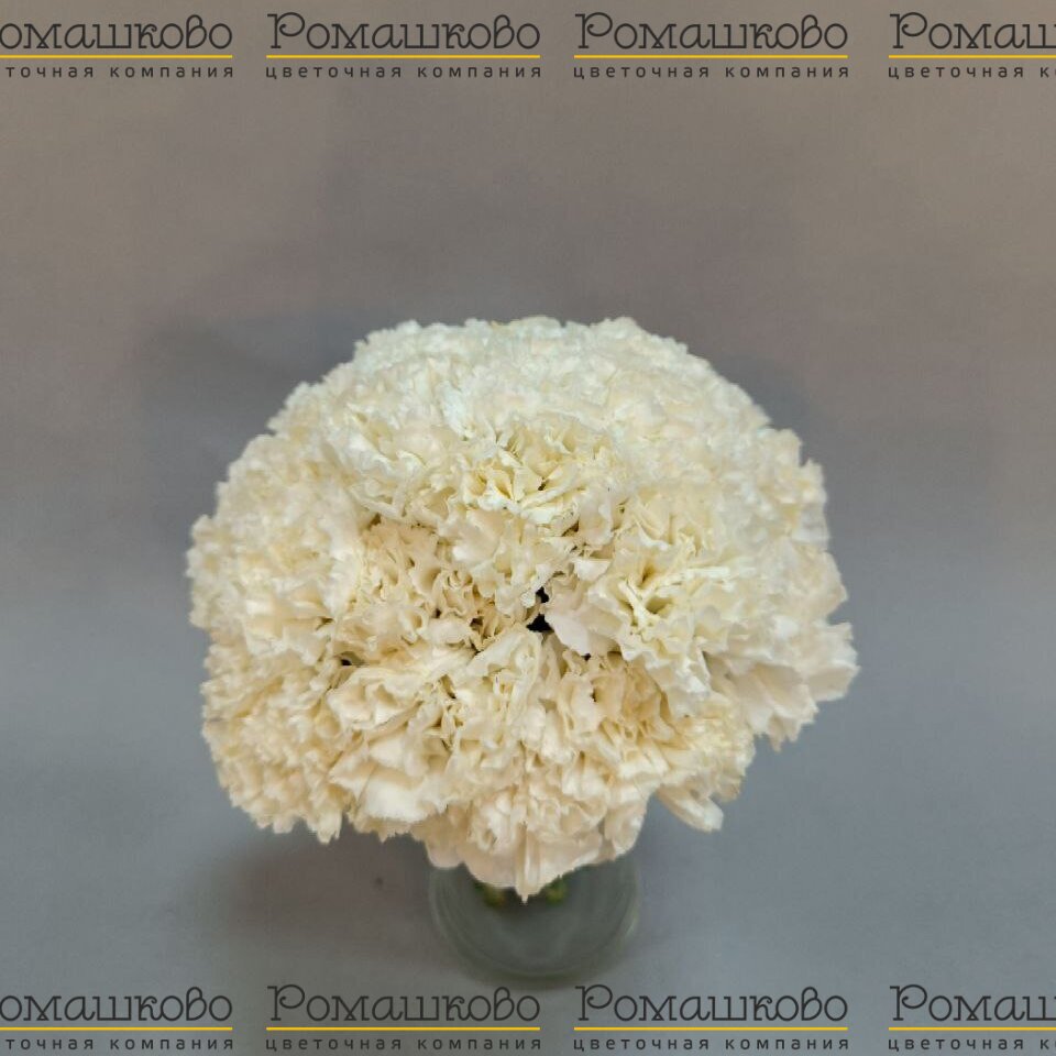 Свадебный букет «Скромная улыбка»