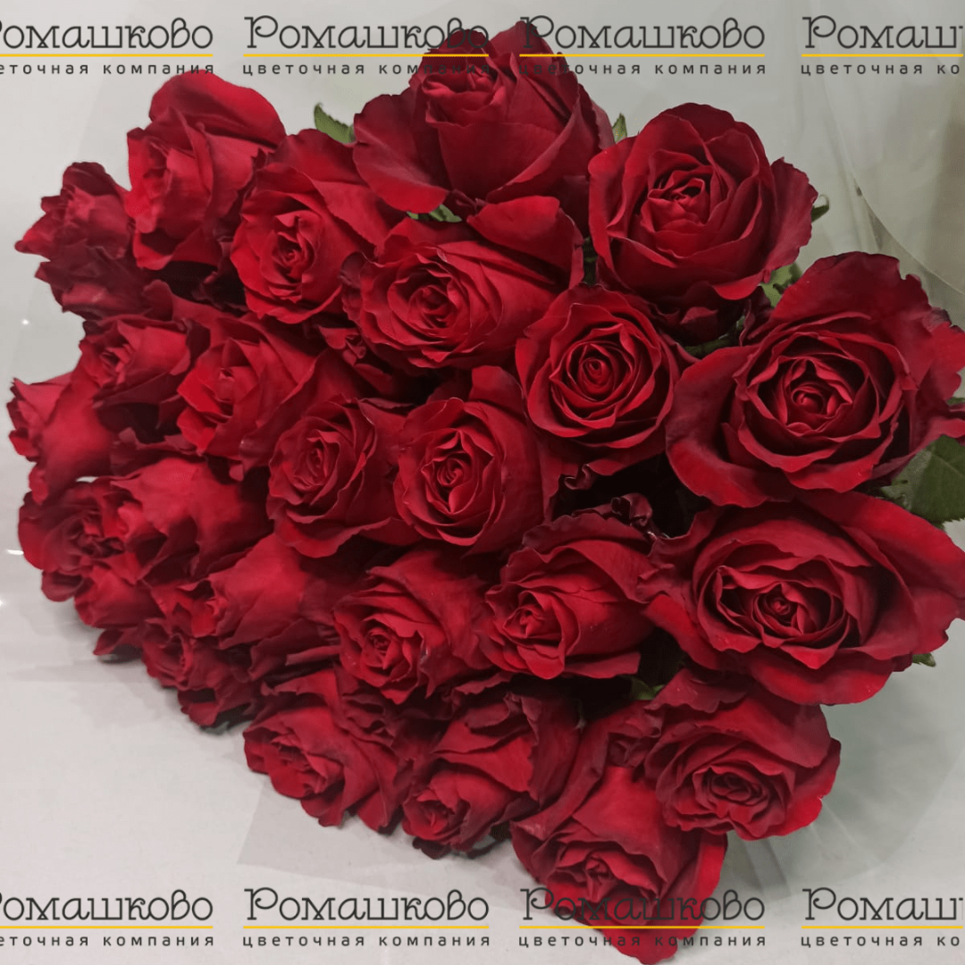 Букет из 25 красных роз Эксплорер