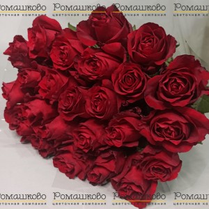 Превью Букет из 25 красных роз Эксплорер