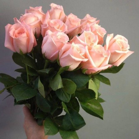 Букет из 13 розовых роз за 3 300 - «Ромашково» в Красноярске
