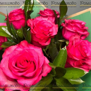 Превью Семь роз с зеленью в ярком флизелине