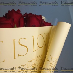 Превью Букет из 11 бордовых роз в крафте