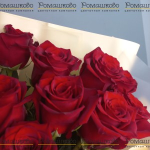 Превью Букет из 11 бордовых роз в крафте