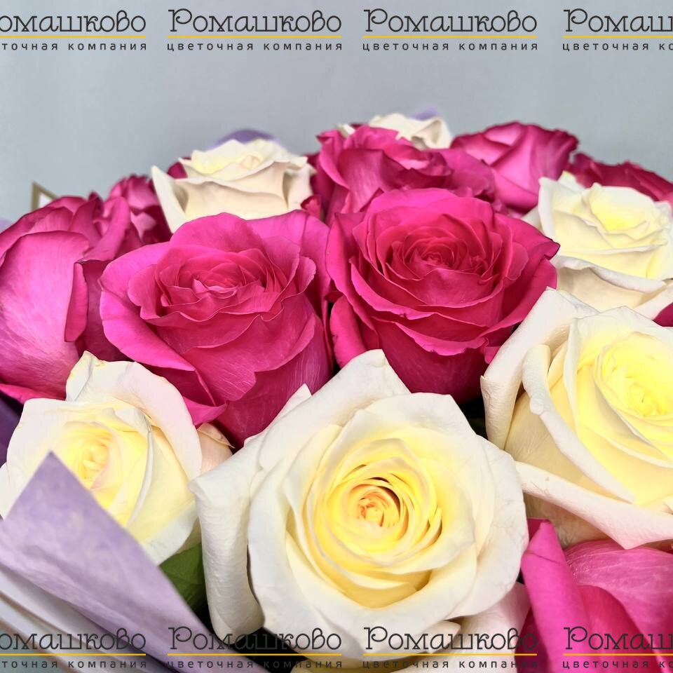 Букет из 31 бело-розовой розы (50 см)