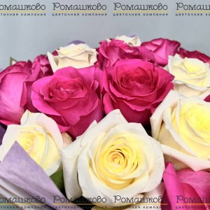 Превью Букет из 31 бело-розовой розы (50 см)