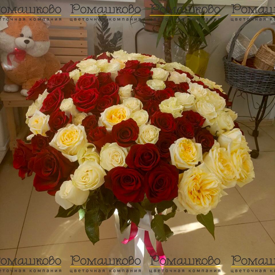 Букет из 101 красно-белой розы (70см)