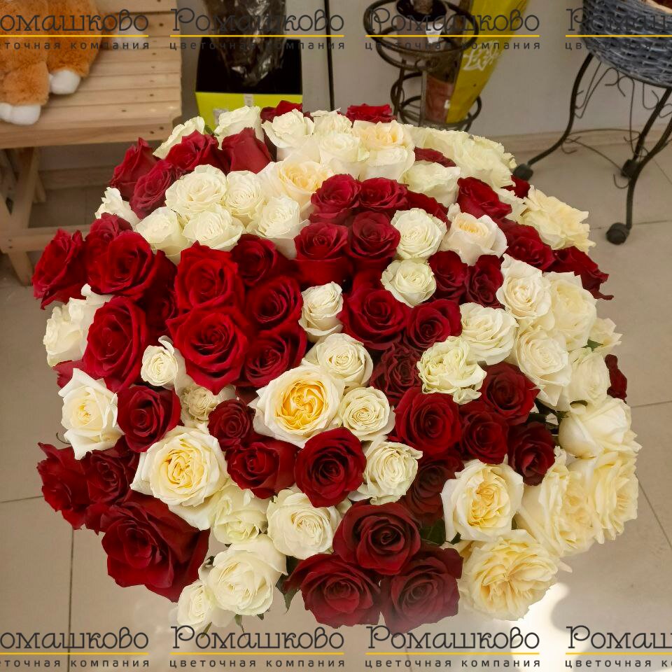 Букет из 101 красно-белой розы (70см)