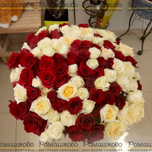 Превью Букет из 101 красно-белой розы (70см)