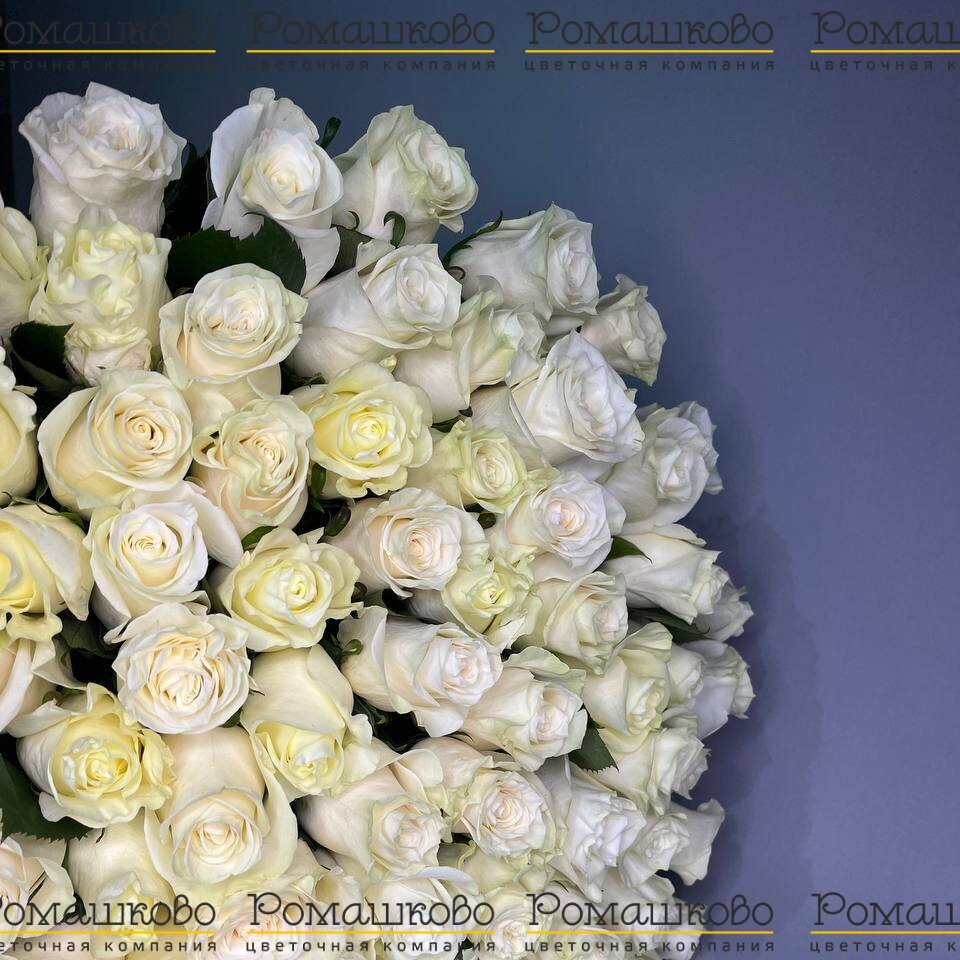 Букет из 101 белой розы (50см)