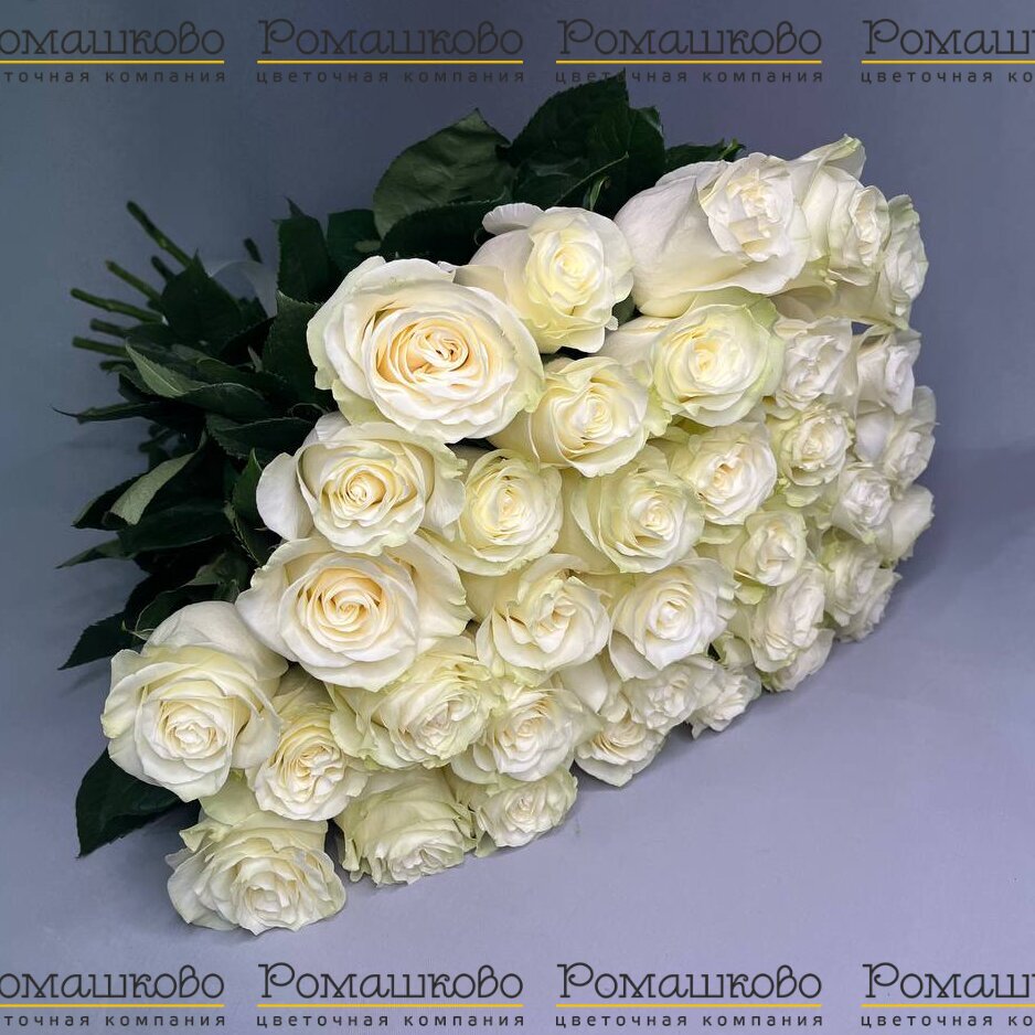 Букет из 35 белой розы (70 см)