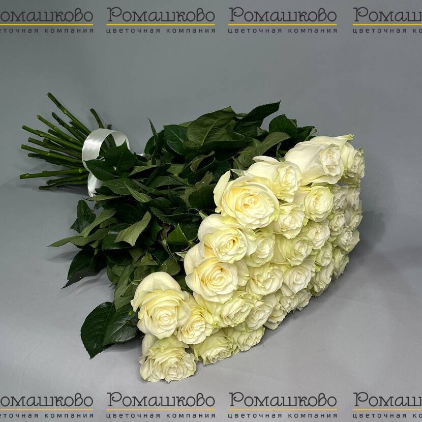 Букет из 35 белой розы (70 см)