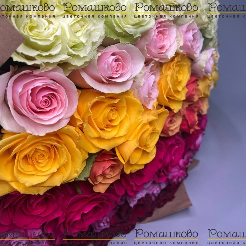 Букет МИКС из 51 розы (60 см)