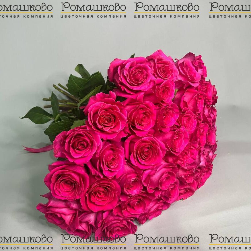 Букет из 39 роз Пинк Флойд (50см)