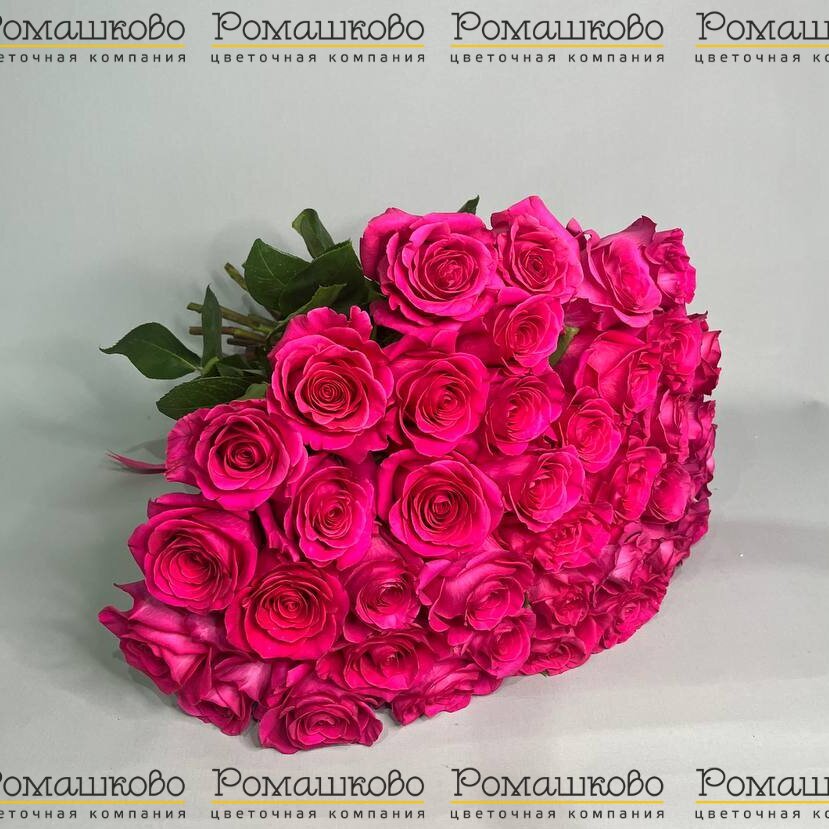 Букет из 39 роз Пинк Флойд (50см)