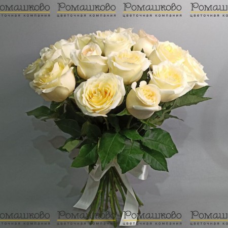 Букет из 25 кремовых роз (50см) за 7 930 - «Ромашково» в Красноярске