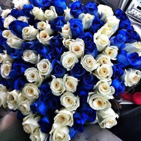 Букет из 101 бело-синей розы (70см) за 42 090 - «Ромашково» в Красноярске