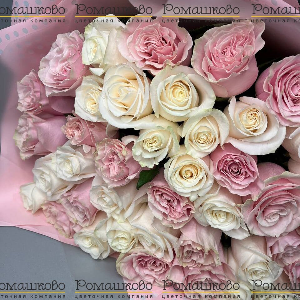 Букет из 51 бело-розовой розы (50см)