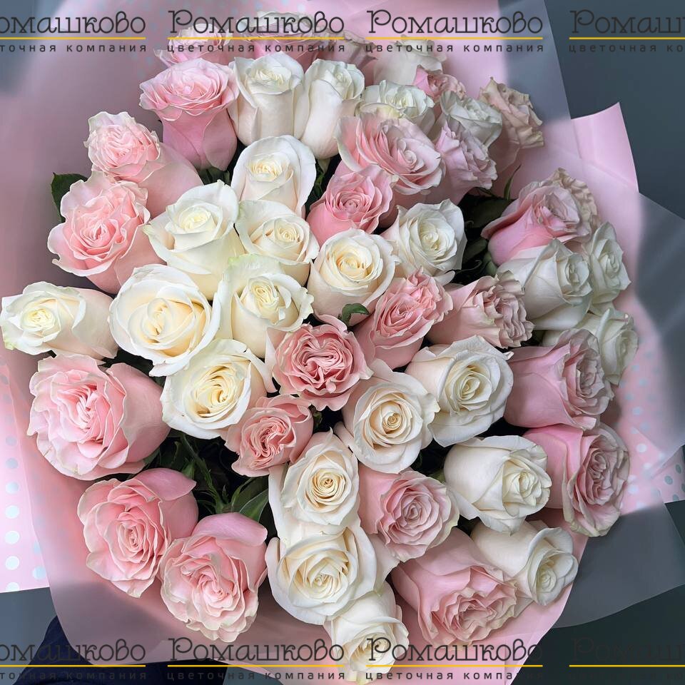 Букет из 51 бело-розовой розы (50см)