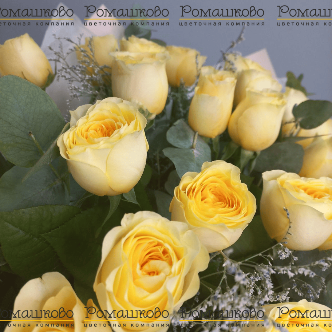 Акция Роза Кремовая (Кения) 31 шт. (50см)