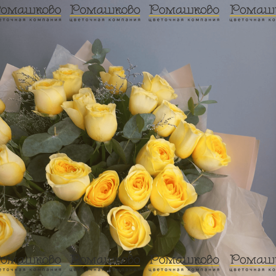 Акция Роза Кремовая (Кения) 31 шт. (50см)