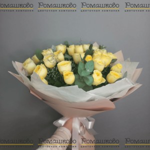 Превью Акция Роза Кремовая (Кения) 31 шт. (50см)